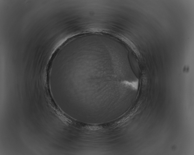 X0000095521023200801041218