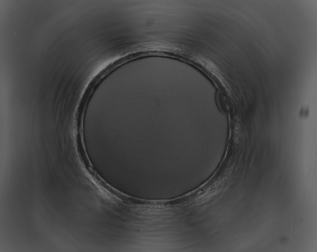 X0000095521024200801041218