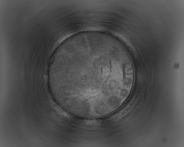 X0000095521025200801041218