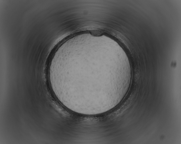 X0000095521026200801041218