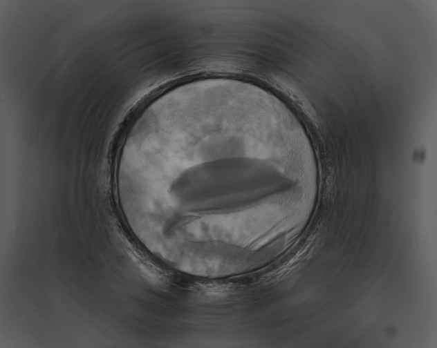 X0000095521027200801041218