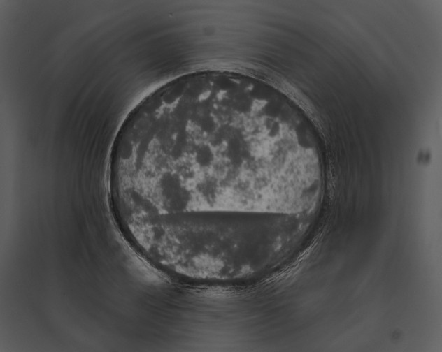 X0000095521028200801041218