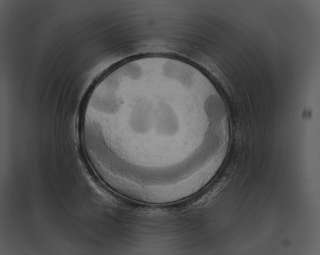 X0000095521030200801041218