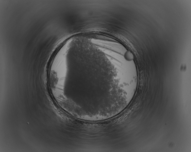 X0000095521031200801041218