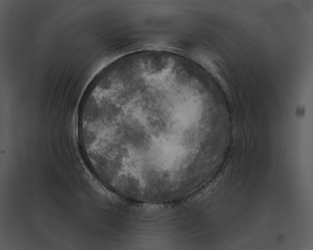 X0000095521032200801041218