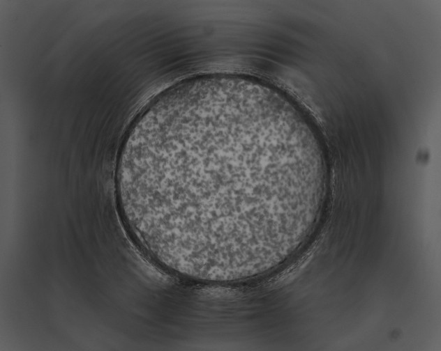 X0000095521033200801041218