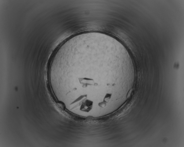 X0000095521034200801041218