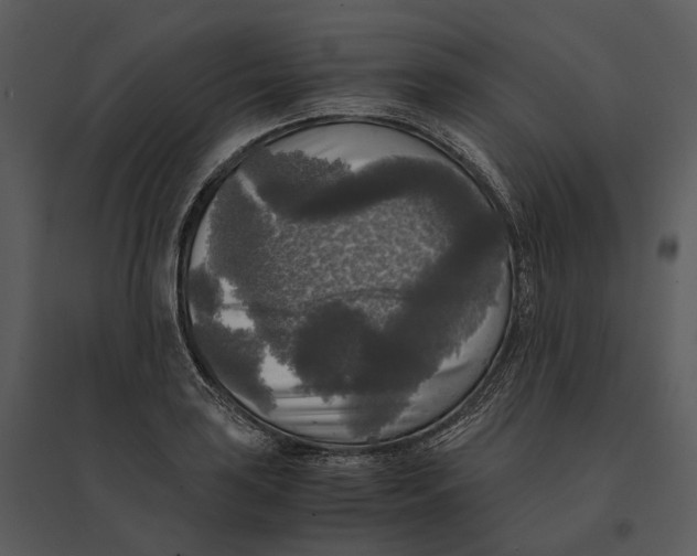 X0000095521035200801041218