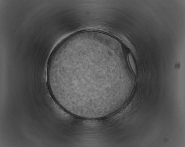 X0000095521036200801041218