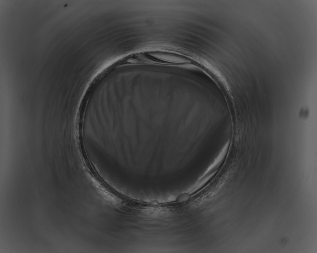 X0000095521037200801041218