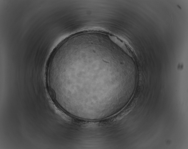 X0000095521038200801041218