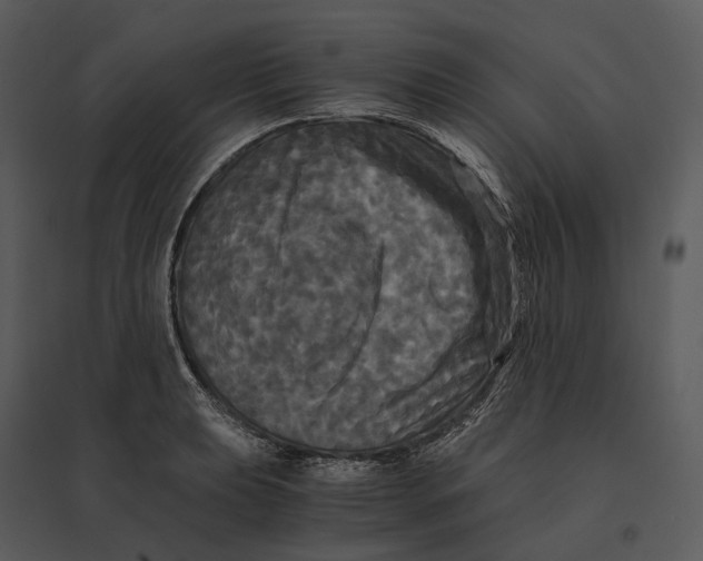 X0000095521039200801041218