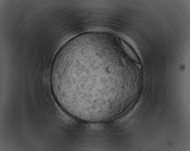 X0000095521041200801041218