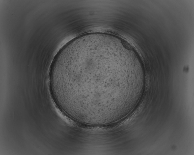 X0000095521042200801041218