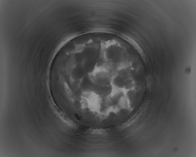 X0000095521043200801041218