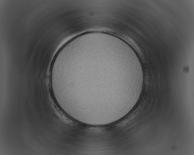 X0000095521044200801041218