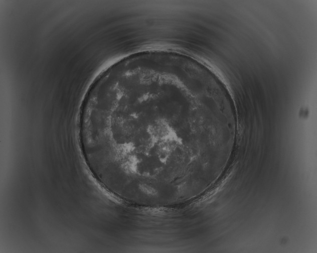 X0000095521045200801041218