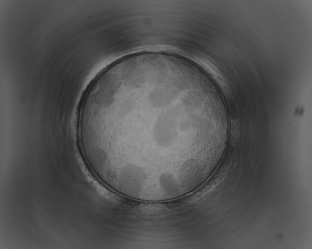 X0000095521046200801041218