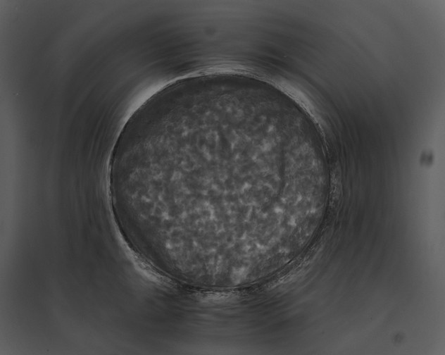 X0000095521047200801041218