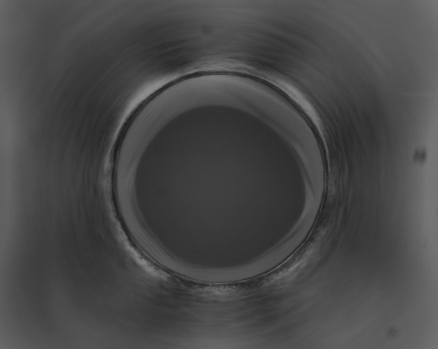 X0000095521053200801041219