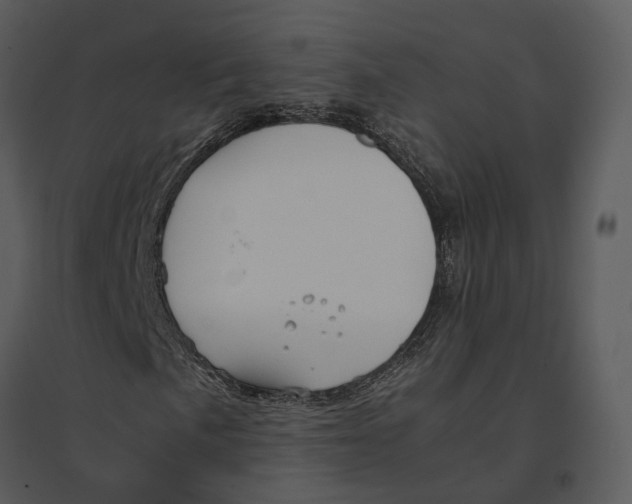 X0000095521057200801041218