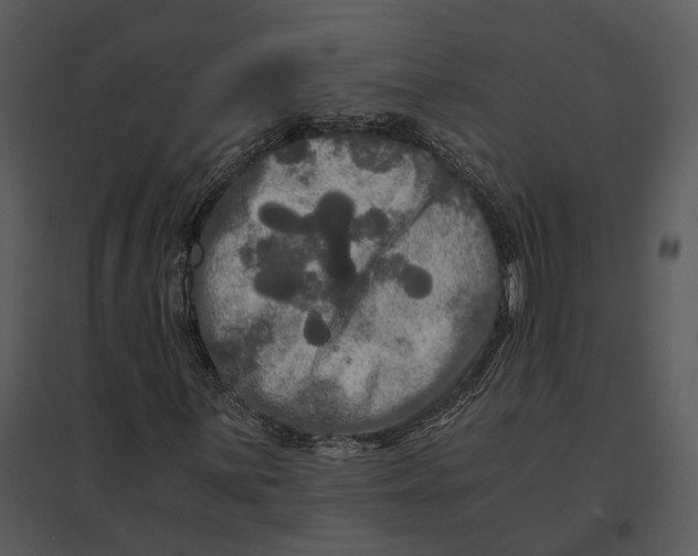 X0000095521059200801041218