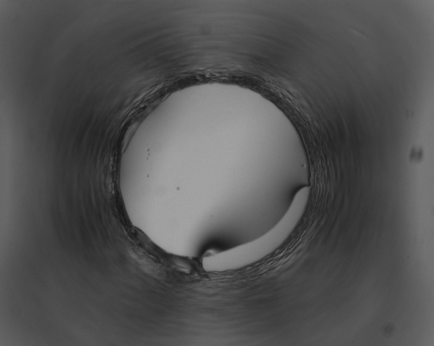 X0000095521060200801041218