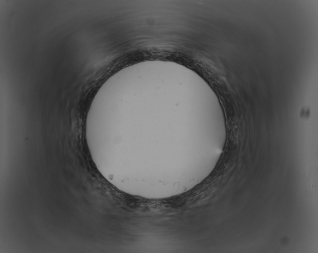 X0000095521061200801041218