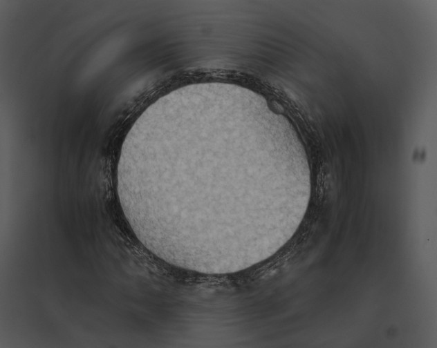 X0000095521062200801041218