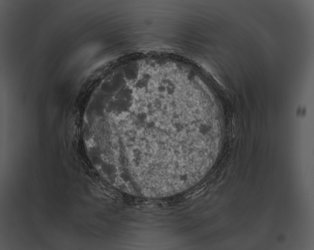 X0000095521063200801041218