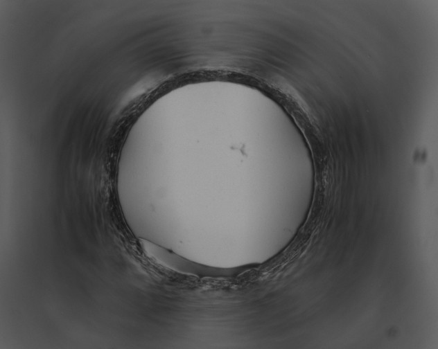 X0000095521064200801041218