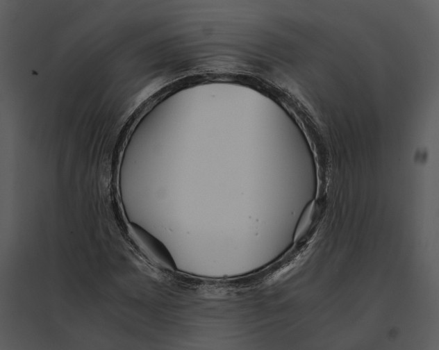 X0000095521065200801041218