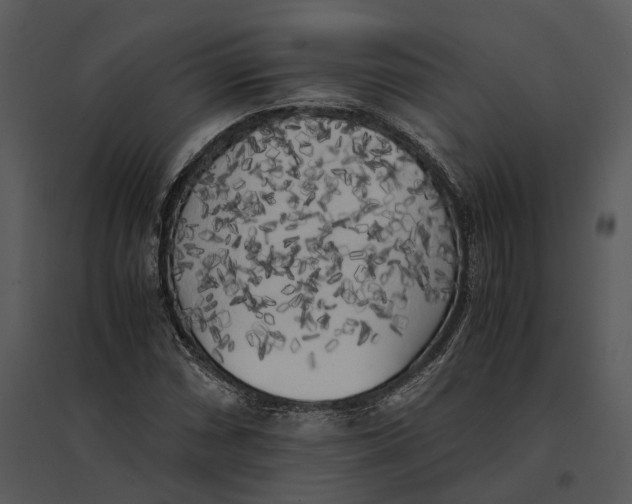 X0000095521066200801041218