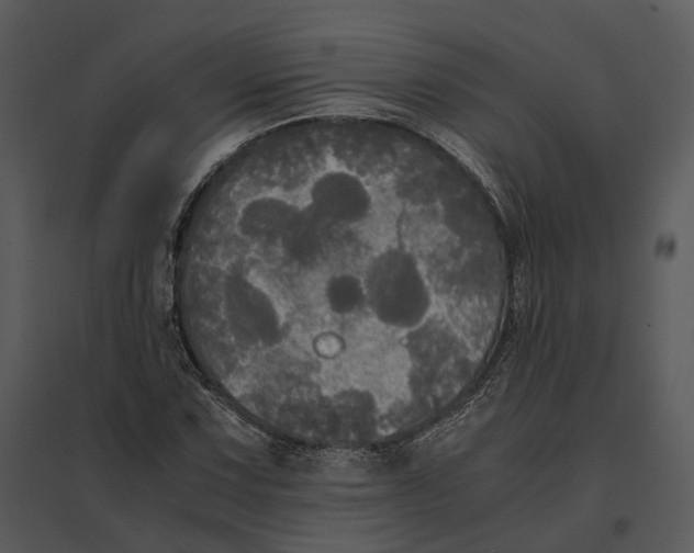 X0000095521067200801041218