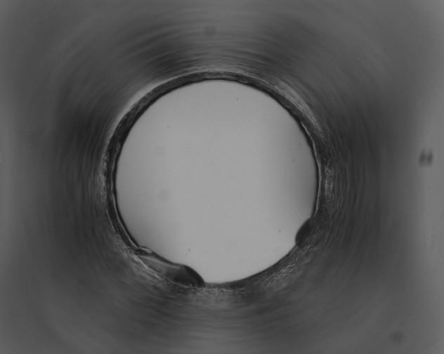 X0000095521068200801041218