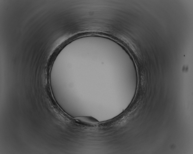 X0000095521069200801041218