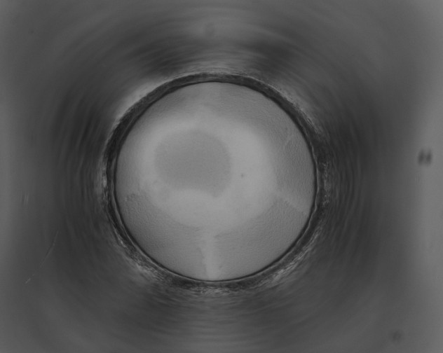 X0000095521070200801041218