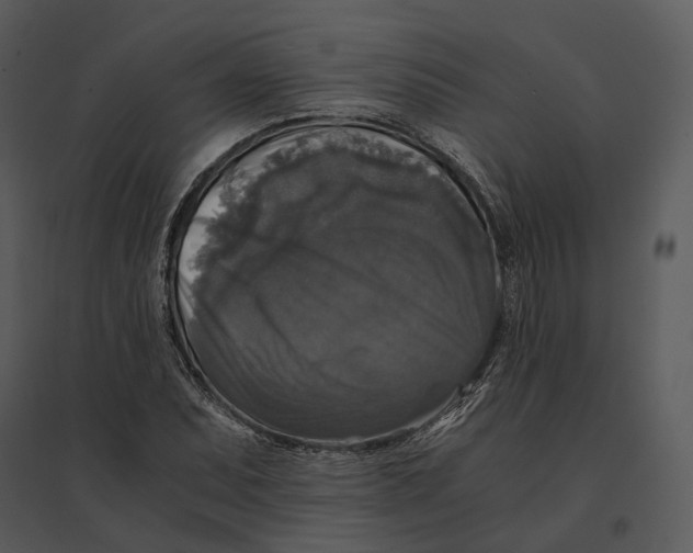 X0000095521071200801041218