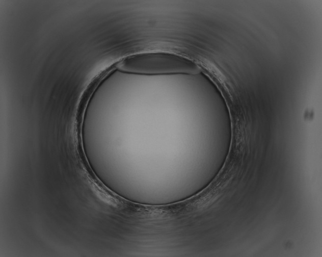 X0000095521072200801041218