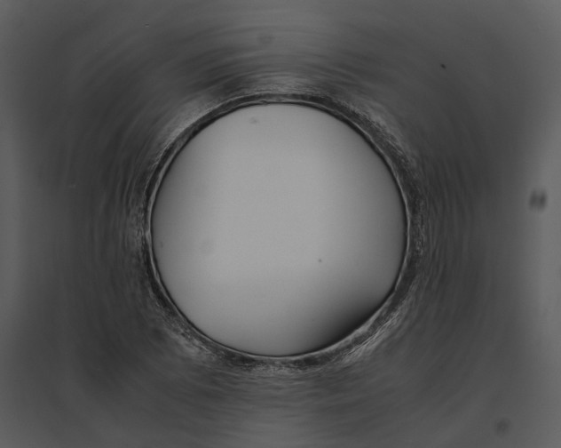 X0000095521073200801041218