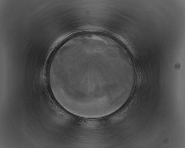 X0000095521074200801041218