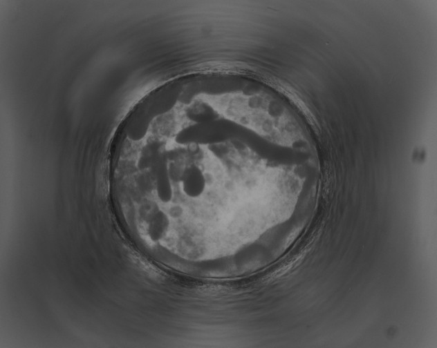 X0000095521075200801041218