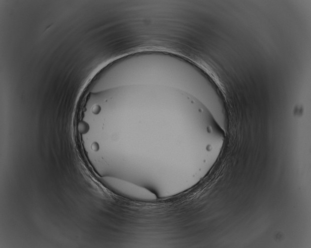 X0000095521076200801041218