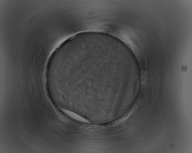 X0000095521077200801041218