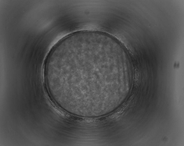 X0000095521078200801041218