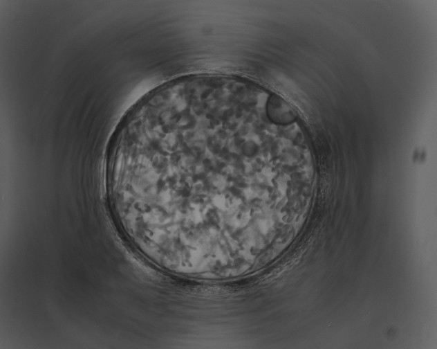 X0000095521079200801041218