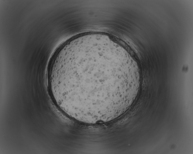 X0000095521080200801041218