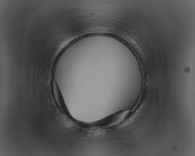 X0000095521081200801041218