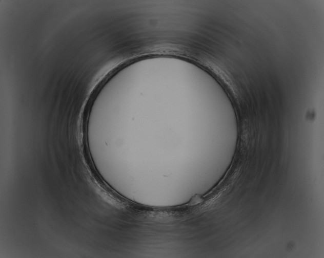 X0000095521082200801041218