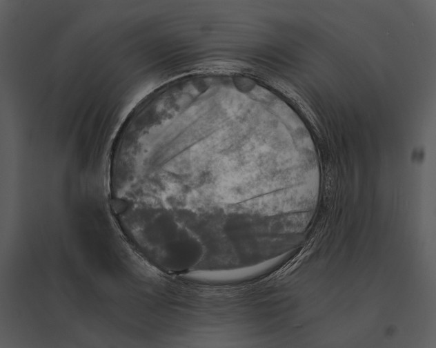 X0000095521083200801041218